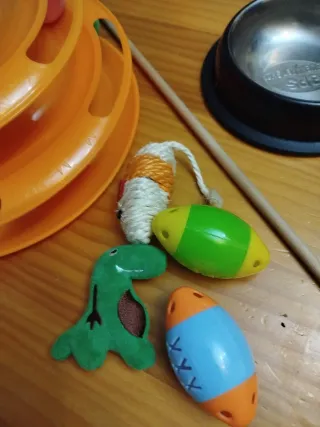 Juguetes para Gato: Túnel y Aro