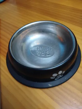 Juguetes para Gato: Túnel y Aro