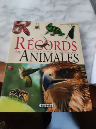 NUEVO DICCIONARIO BÁSICO DE LA LENGUA ESPAÑOLA ...