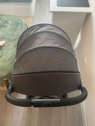 Carro Asalvo Bebé 6 meses - 1 año