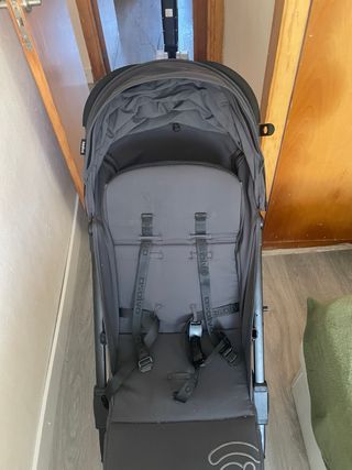 Carro Asalvo Bebé 6 meses - 1 año