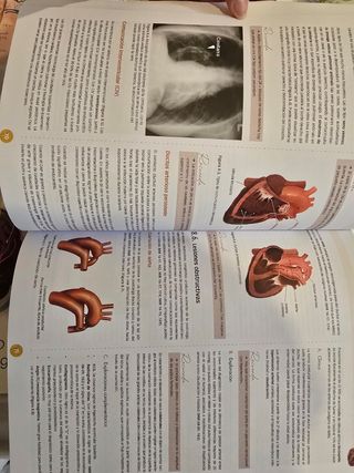 Manual CTO de medicina y cirugía digestivo y cirugía digestiva