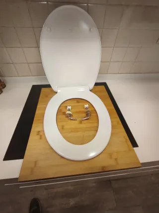 Tapa Asiento Roca Victoria Blanca