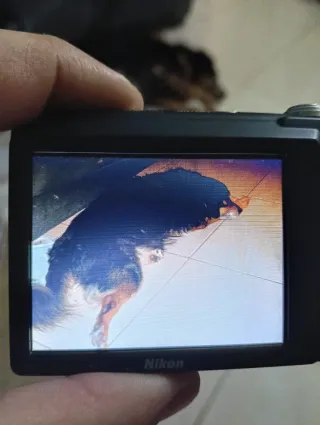 Cámara Nikon Coolpix S2900 Morada 20Mpxl