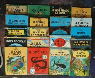 Tintin 20 cómics Casterman en castellano