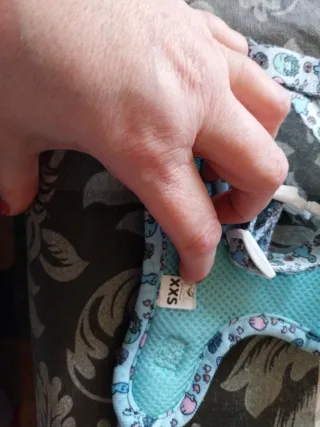 Imbracatura e porta borse My Pug & Co. dinosauri