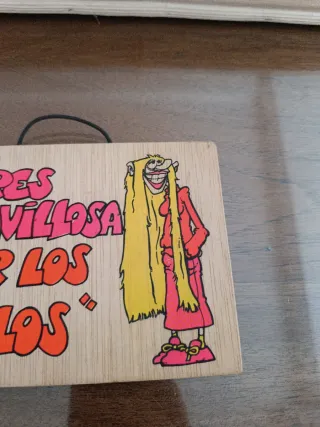Cartel madera Eres maravillosa por los pelos