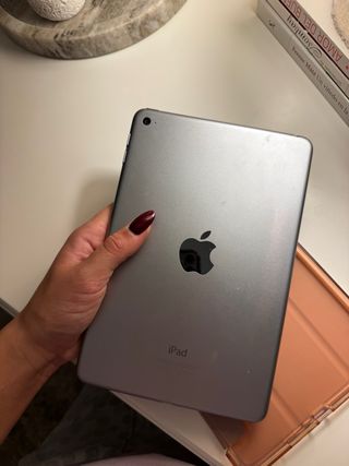 iPad mini 4 Gris