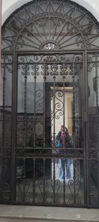 Bajada de precio Puerta Hierro Forjado 1926