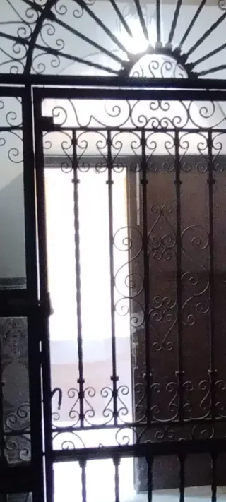 Bajada de precio Puerta Hierro Forjado 1926