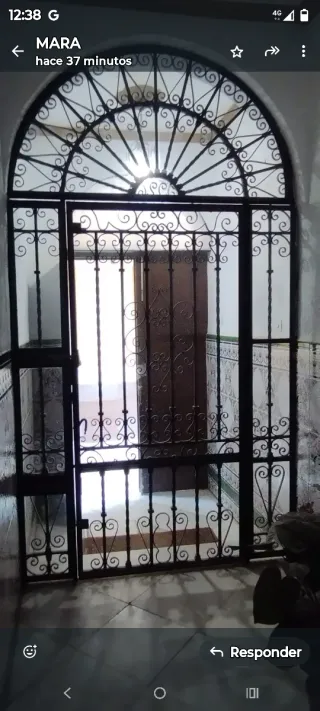 Bajada de precio Puerta Hierro Forjado 1926