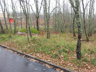 Parcela en Urbanización Pinar del Valle