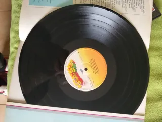 Lotto Kiss DVD + Vinile