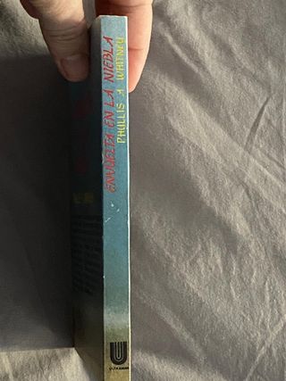 Envuelta en la niebla