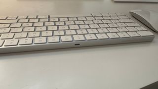 Teclado y Ratón Apple Plata/Blanco