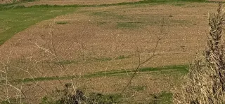 OPORTUNIDAD TERRENO EN CHICLANA