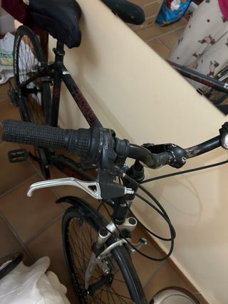 Bicicleta Proflex talla L