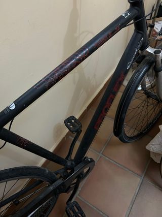 Bicicleta Proflex talla L