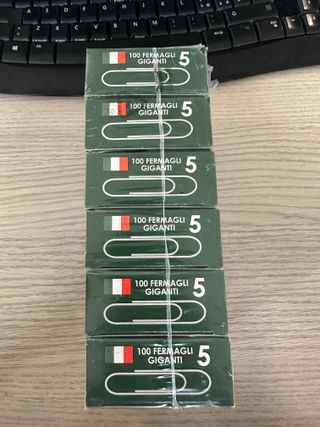 Fermagli Leone 100pz Antiruggine