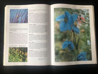 La gran enciclopedia del jardín