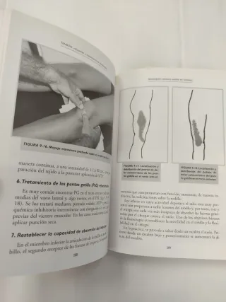 TENDON: Valoracion y tratamiento en fisioterapia