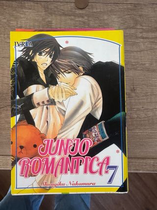 Junjo Romantica 12