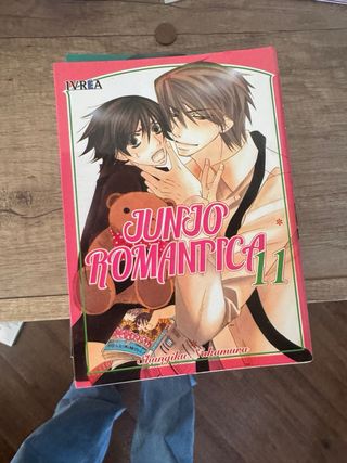 Junjo Romantica 12