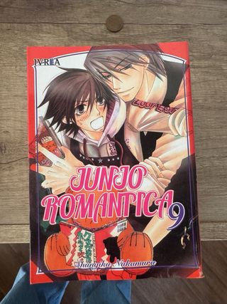 Junjo Romantica 12