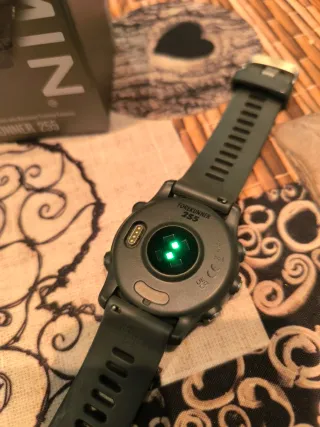 Garmin Forerunner 255 Gris