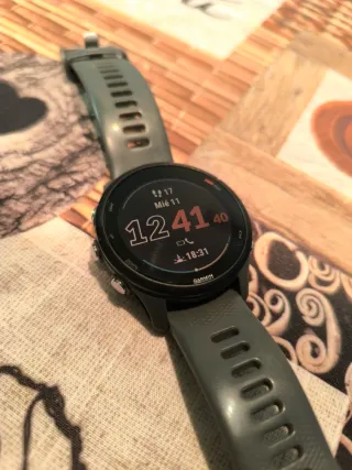 Garmin Forerunner 255 Gris