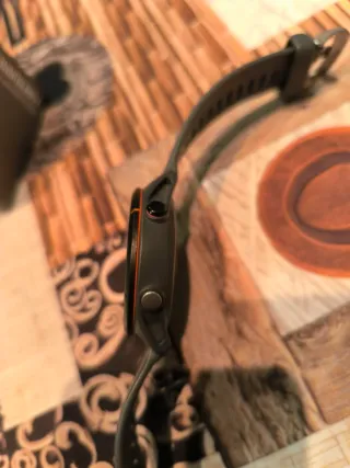 Garmin Forerunner 255 Gris