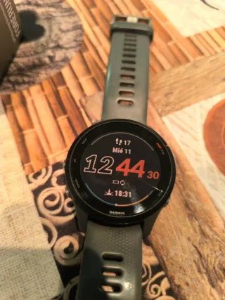 Garmin Forerunner 255 Gris