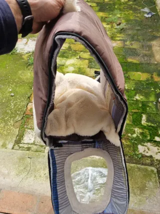 Cama para perro/gato