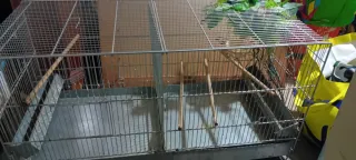 Gabbia per uccelli zincata 90 cm