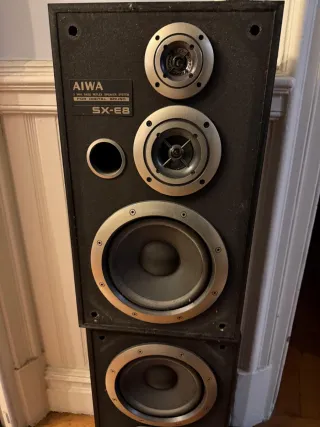 Altavoces Aiwa SX-E8 80W 2 unidades