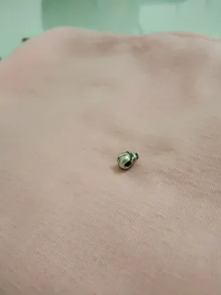 Charm estilo Pandora plata