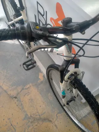 BICICLETA B-PRO