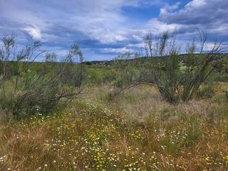 Terreno en venta en Azuaga