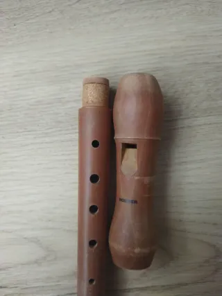 Lote de 2 Flautas Dulces Hohner,18€