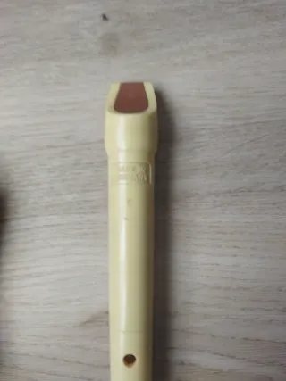 Lote de 2 Flautas Dulces Hohner,18€