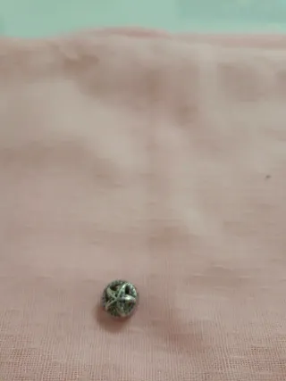 Estilo Pandora Plata