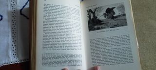 LIBRO CAZA MENOR -JOSE GIBERT BUCH