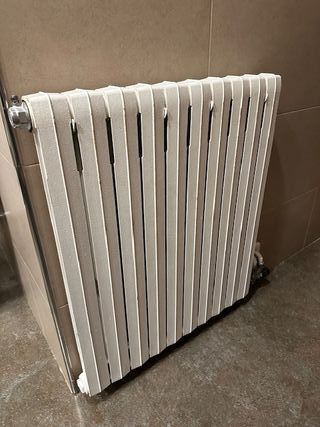 Caldera gasoil calefacción y ACS