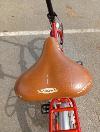 Bicicleta plegable PS40 Boomerang