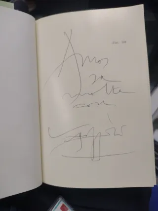 Raffaello un Dio mortale