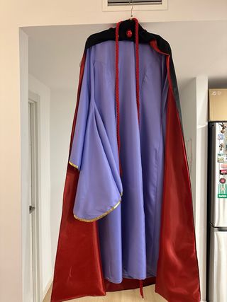 Disfraz Madrastra Blancanieves