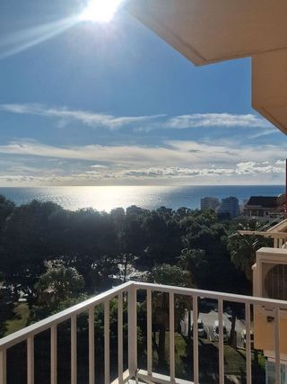 Estudio en alquiler en Parque de la Paloma en Benalmádena