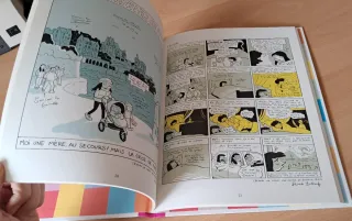 Les Cahiers d'Esther - tome 4 Histoires de mes ...