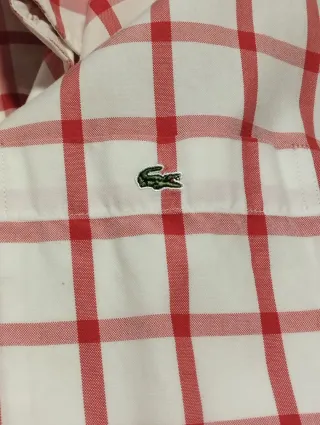 Camisa Lacoste Cuadros Rojo y Blanco
