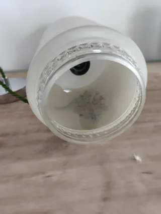 Lámpara de techo floral vidrio y metal